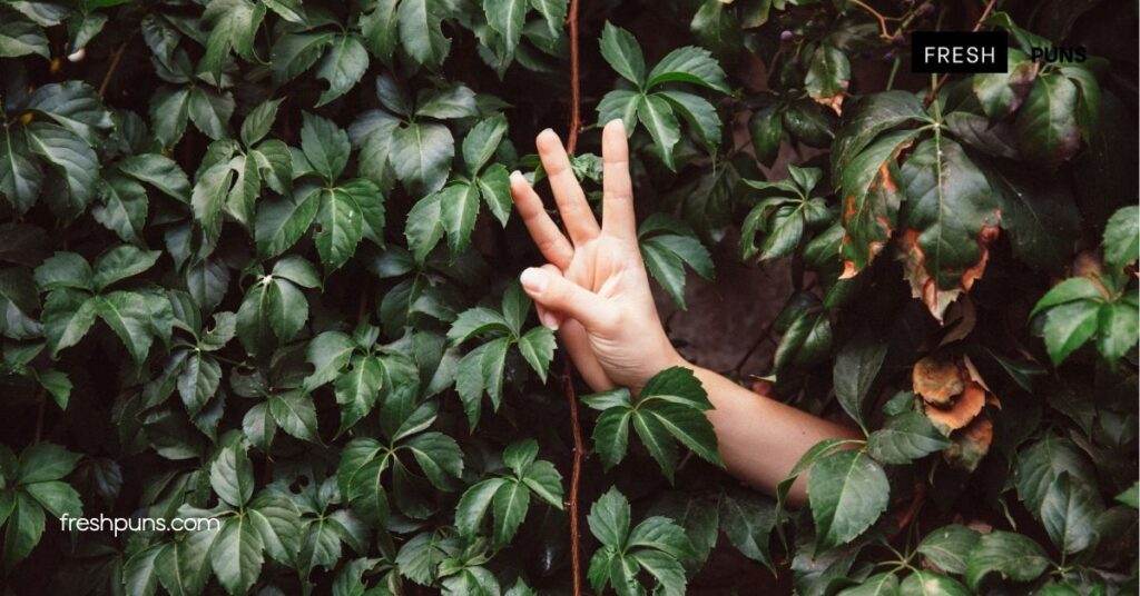 Get Ready to Laugh: Try These Three Puns for Instant Humor 3 Creating Your Own Three Puns