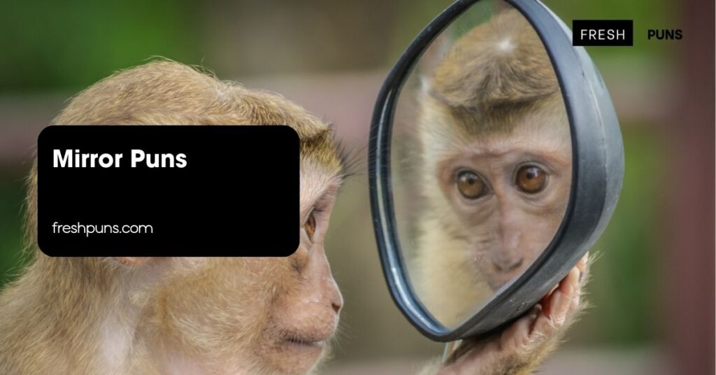 Mirror Puns